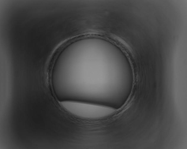 X0000100911310200806241043