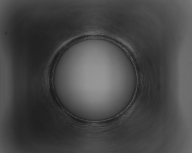 X0000100911311200806241043