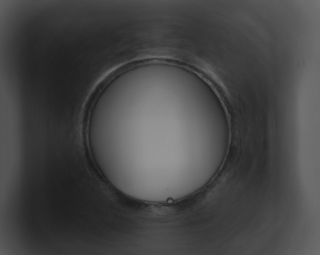X0000100911312200806241043