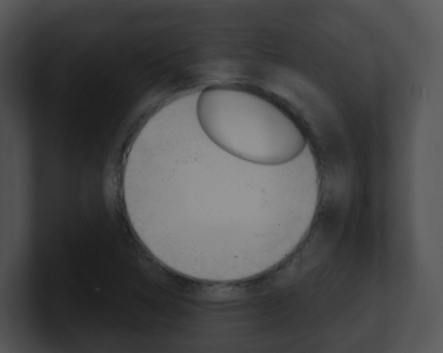 X0000100911314200806241043