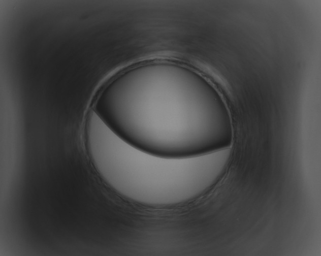 X0000100911316200806241043