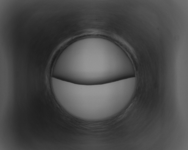 X0000100911318200806241043