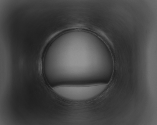 X0000100911320200806241043