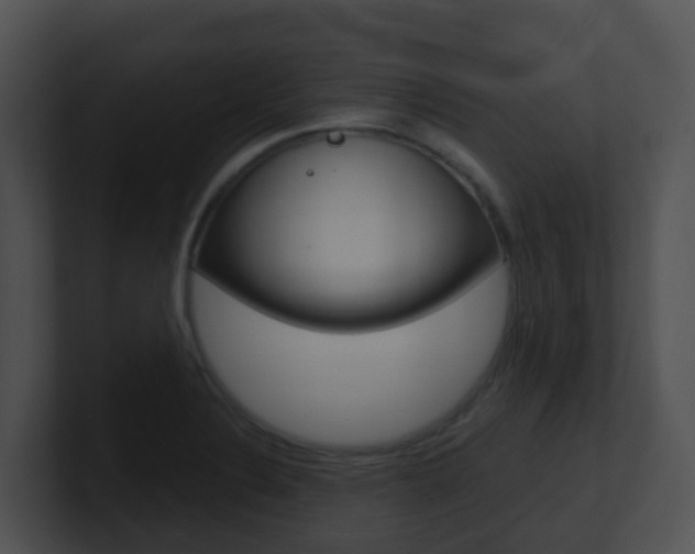 X0000100911324200806241043