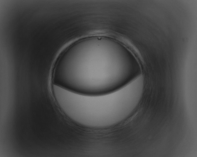 X0000100911328200806241043