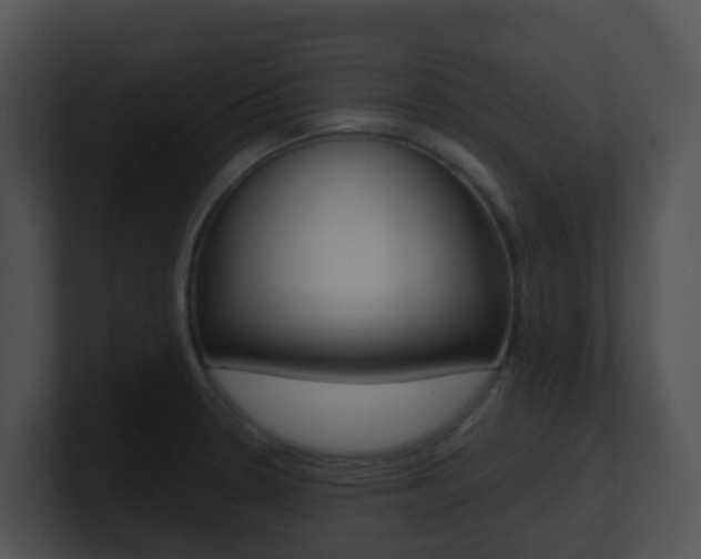 X0000100911330200806241043