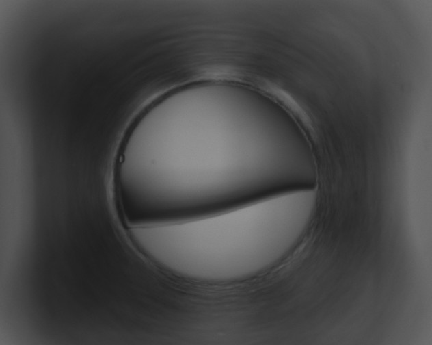 X0000100911331200806241043