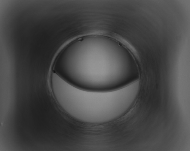 X0000100911332200806241043