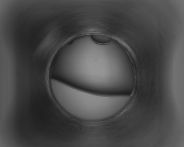 X0000100911333200806241043