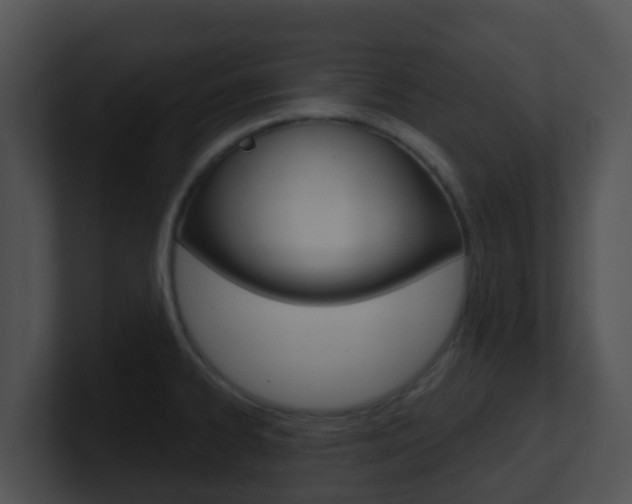 X0000100911334200806241043