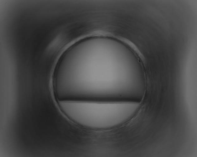 X0000100911335200806241043