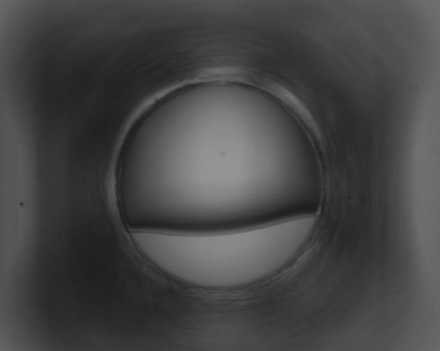 X0000100911336200806241043