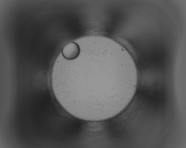 X0000100911338200806241043