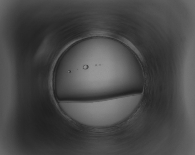 X0000100911339200806241043