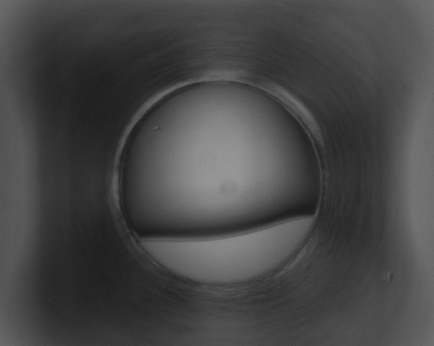 X0000100911340200806241043