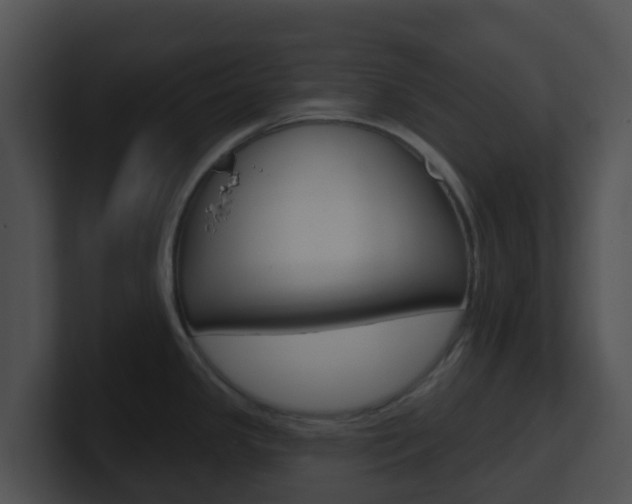X0000100911341200806241043