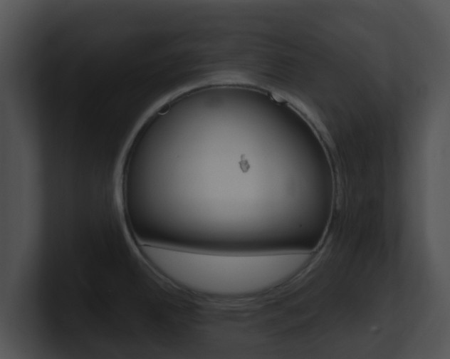 X0000100911342200806241043