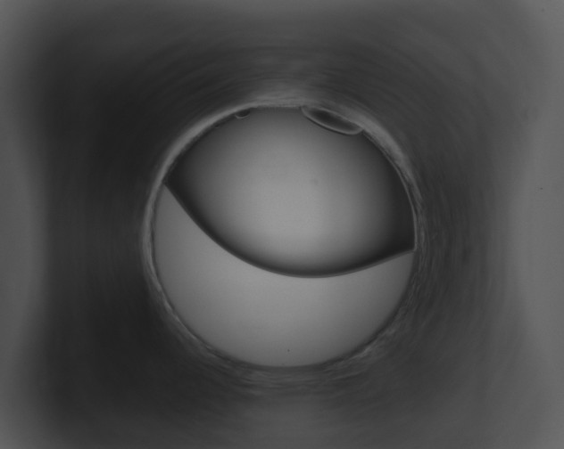 X0000100911344200806241043