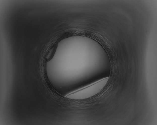 X0000100911345200806241042