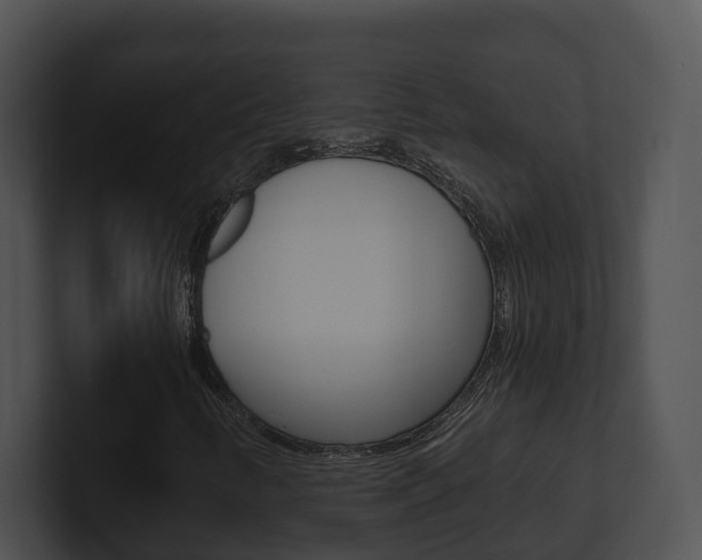 X0000100911346200806241042