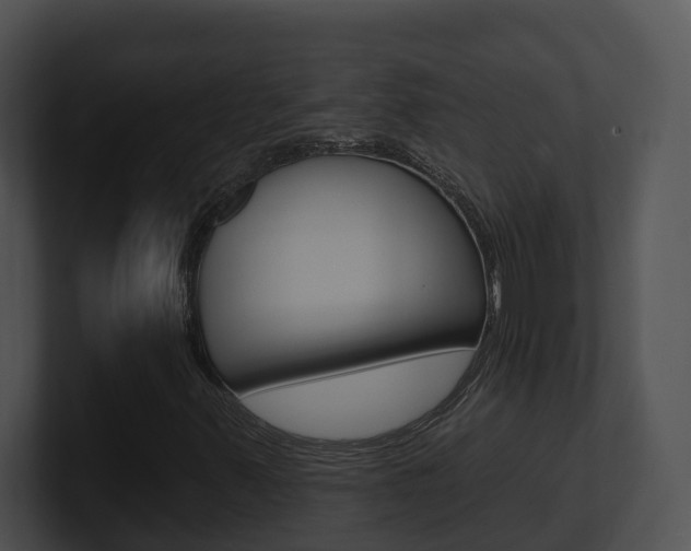 X0000100911347200806241042