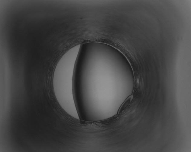 X0000100911348200806241042