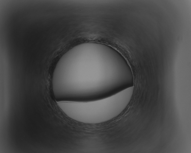 X0000100911349200806241042