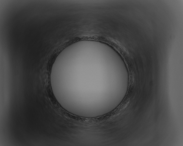 X0000100911350200806241042