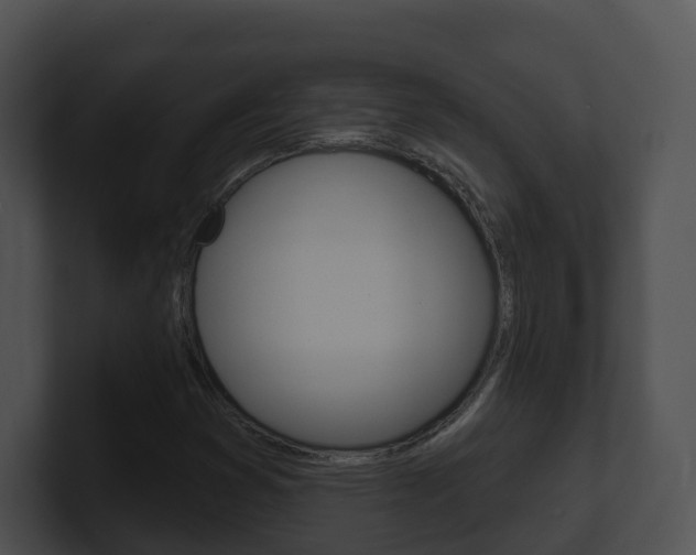 X0000100911353200806241042