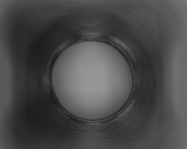 X0000100911354200806241042