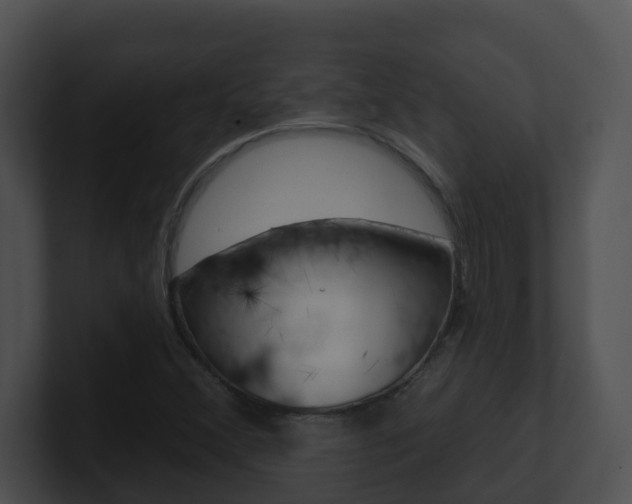 X0000100911356200806241042