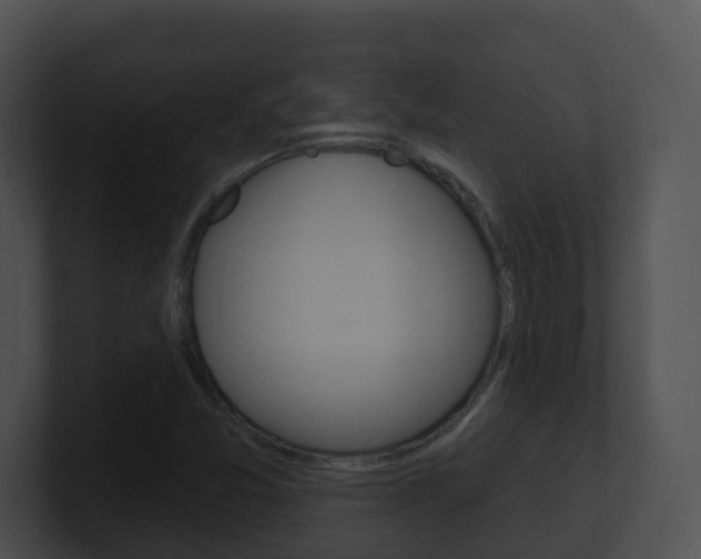 X0000100911357200806241042