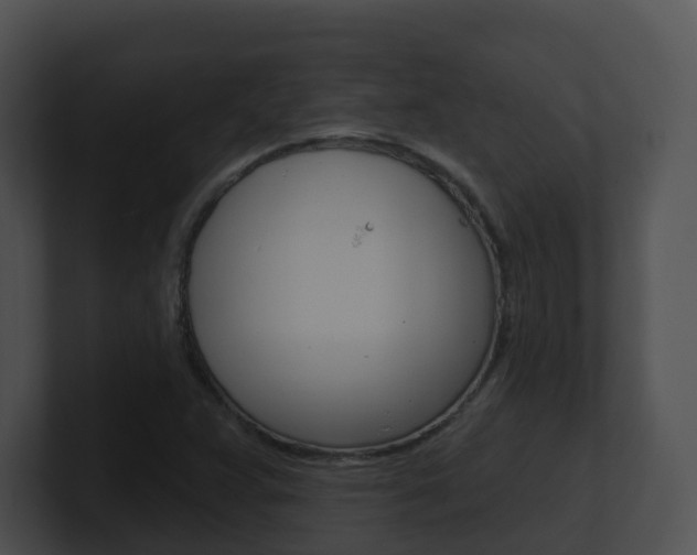 X0000100911359200806241042