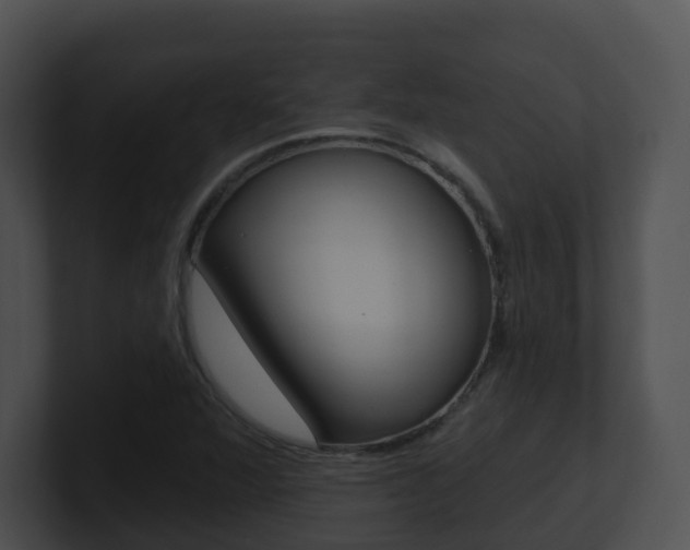 X0000100911360200806241042