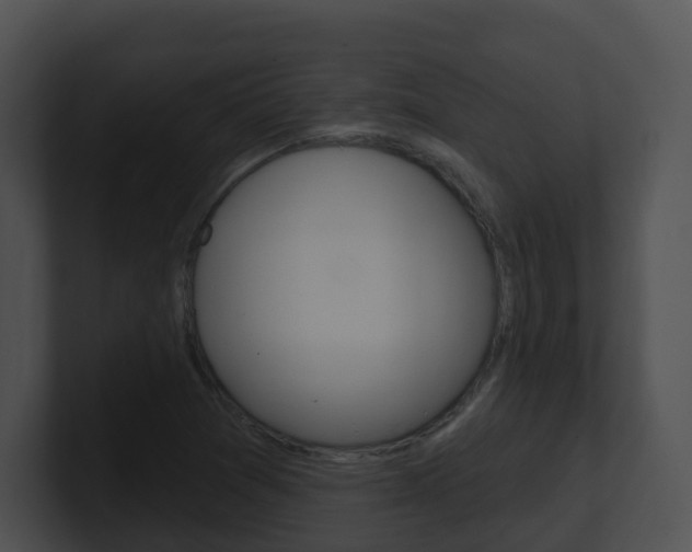 X0000100911361200806241042