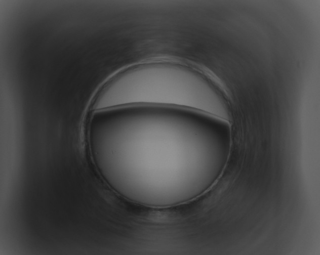 X0000100911364200806241042