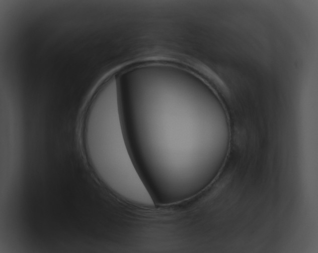 X0000100911368200806241042