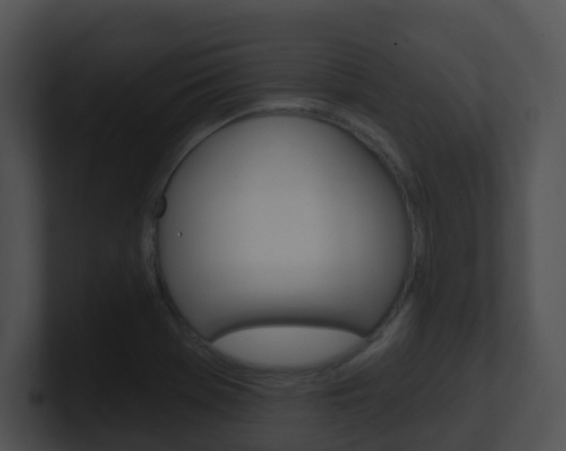 X0000100911369200806241042