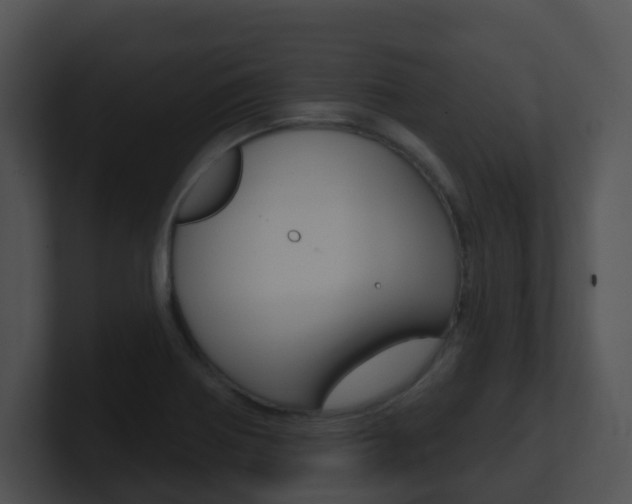 X0000100911370200806241042