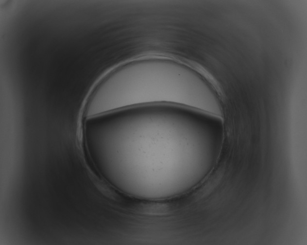 X0000100911372200806241042