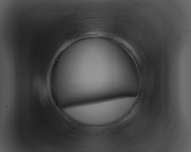 X0000100911373200806241042
