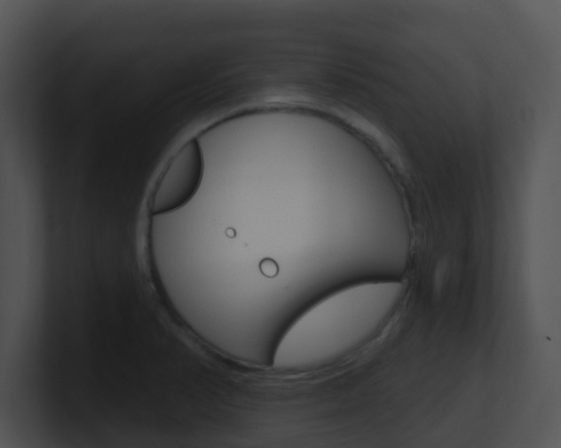 X0000100911374200806241042