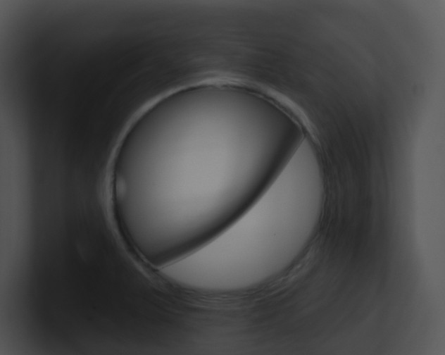 X0000100911375200806241042