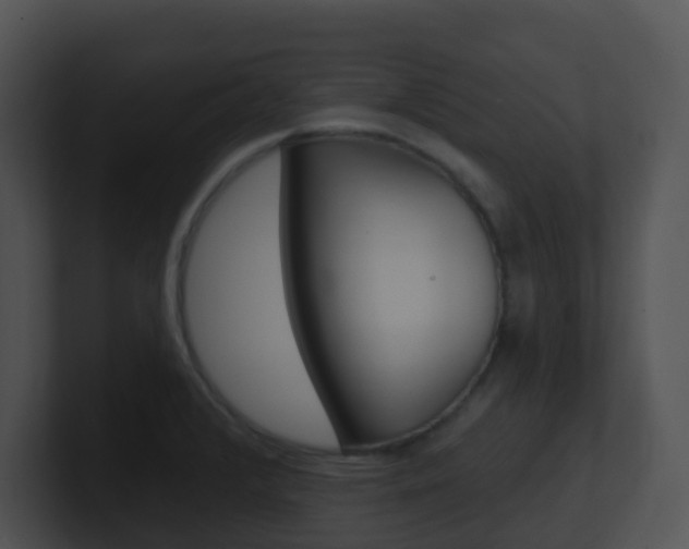 X0000100911376200806241042
