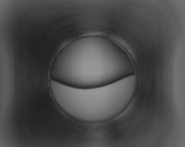 X0000100911377200806241042