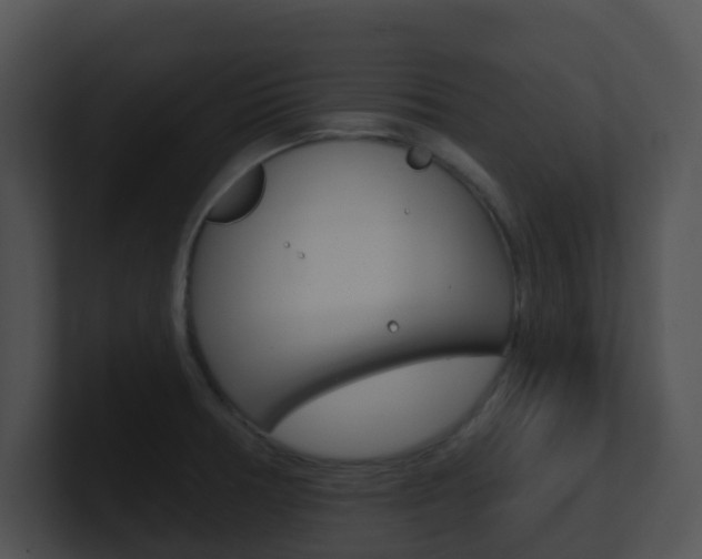 X0000100911378200806241042