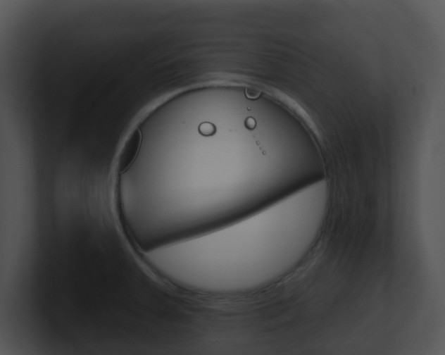 X0000100911379200806241042