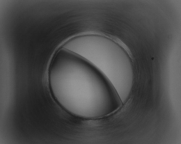 X0000100911380200806241042