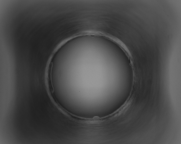 X0000100911381200806241042