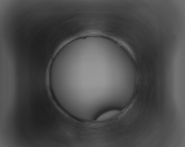 X0000100911382200806241042